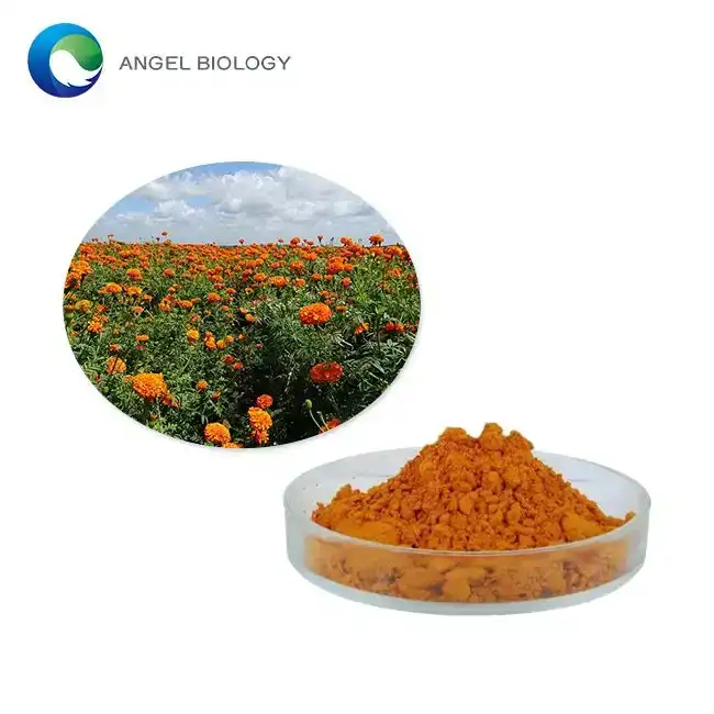 Top 8 OEM/ODM Marigold Extract Powder Manufacturers in China for 2025